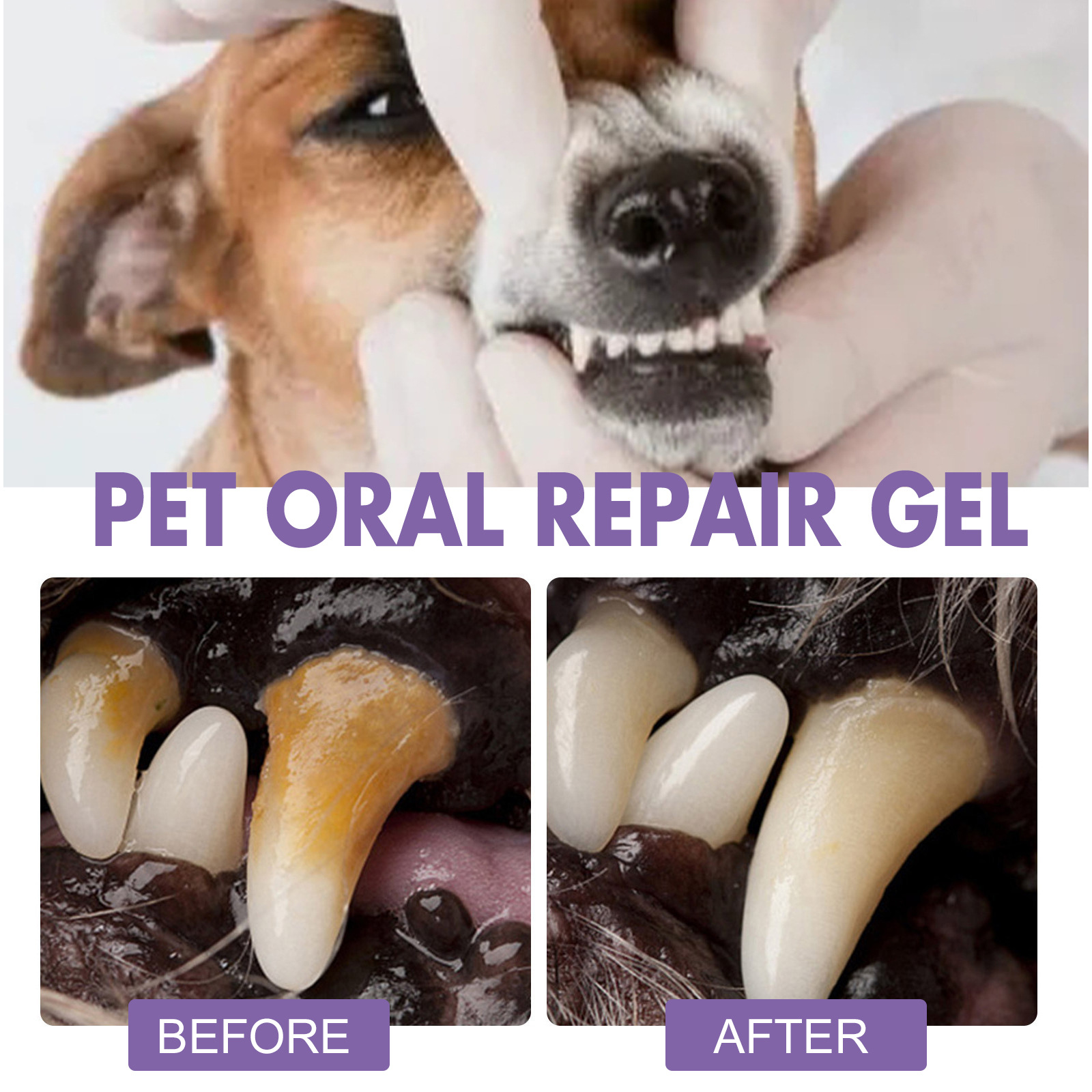 Pet Oral Repair Gel Puppy Tart - Teeth Whitening Session 评论和价格